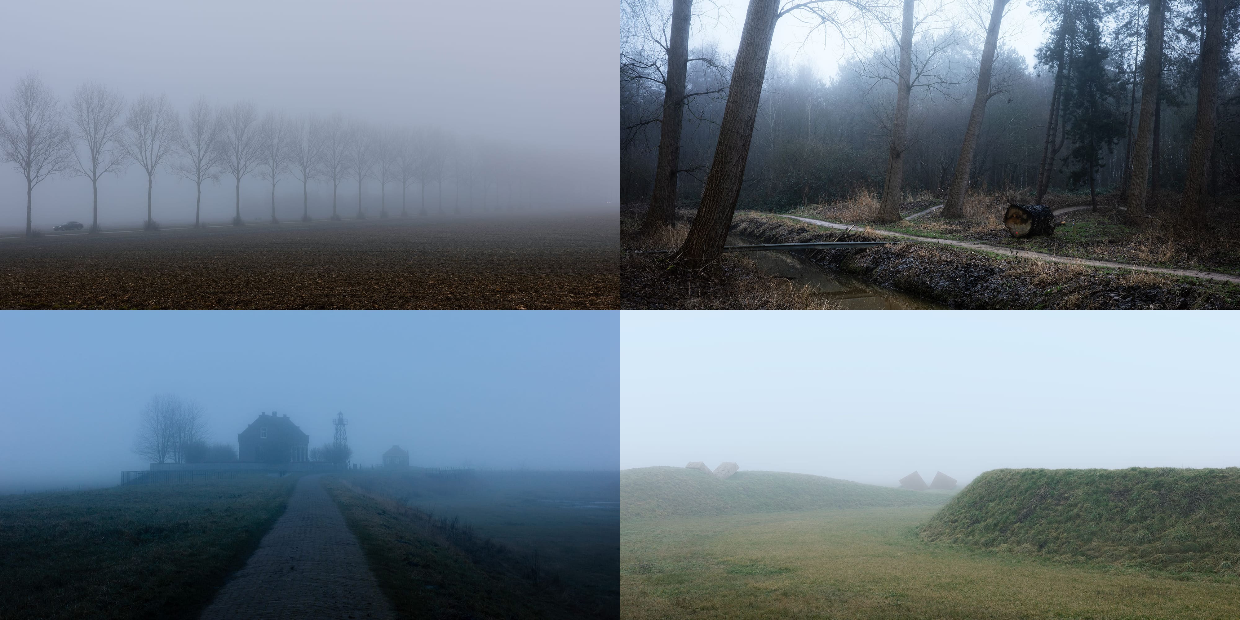 Flevoland: a drama of lost islands and conquered sea